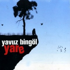 Yavuz Bingöl - Yeşil Başlı Gövel Ördek