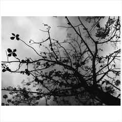 Everything (Alanis Morrisette cover)