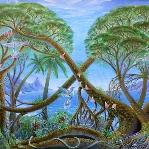 A Força Do Beija - Flor