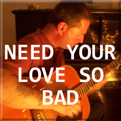 Need Your Love So Bad