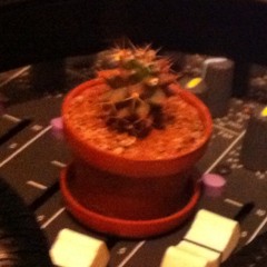 Trance ea testa! at Aztec Empire!