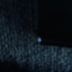 Diaspora (Featuring Roy Bush)