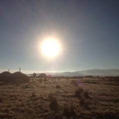 Ардын дуу - Mongolian folk song