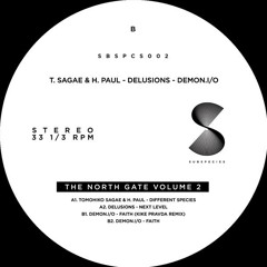 Tomohiko Sagae & H. Paul - Different Species (12'') Subspecies