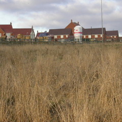 City Limits: The Cityside