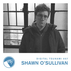 Digital Tsunami 057 - Shawn O'Sullivan