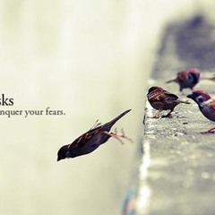 EDM Electronic Dance Music