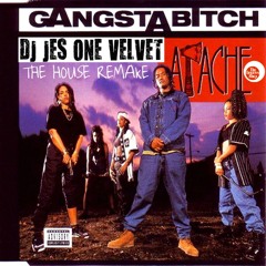 Apache - Jes One Velvet House Remake - Gangsta  Bitch