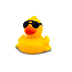 Jolly - Ducktoy (Cut)