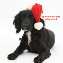 Fairytale Of New York - Bryanny