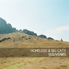 Homeless & Big Cats - Souvenirs