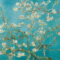 Tàn Phai - Lê Hiếu