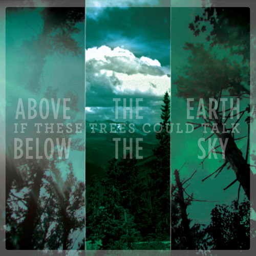 if-these-trees-could-talk-whats-in-the-ground-belongs-to-you