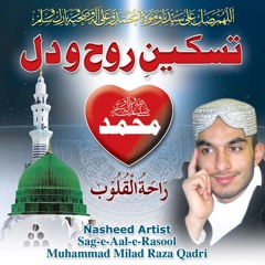 Shah e Madina