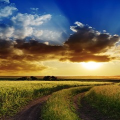 Is Life on Earth an Accident? - Episode 28