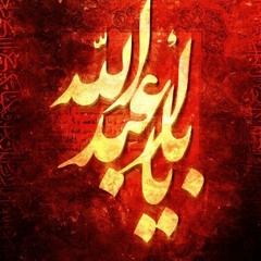 Zuljanah - Mir Hasan Mir - 2015 [HD