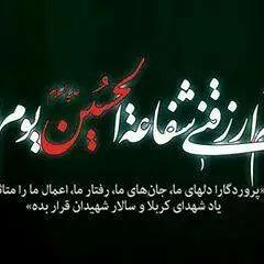 Ziyarata Zainab- Hashim Sisters, 2013 - 14