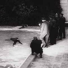 Ethereal Death (Vocals)