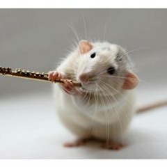 Magic Flute (Ft. Kaybia)