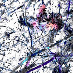 The Christmas Lights (remastered)