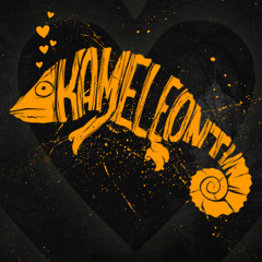 Funk Mechanic - DJ Set @ Kameleont Afterparty 20141101