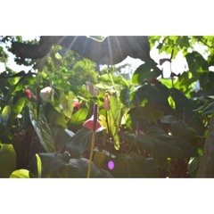 09 Distant Travelers