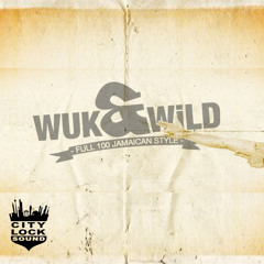 Wuk'N'Wild Heat Up - December 2014 Mix [by Fabi Benz | City Lock Sound] #FreeDownload