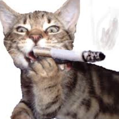 Lisa - City Of Smoke