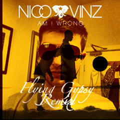 Nico & Vinz - Am I Wrong (Remix)