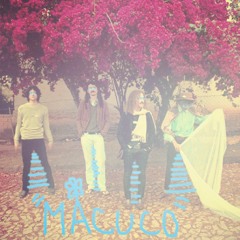 Absinto Muito - Macuco