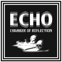 ECHO CHAMBER OF REFLECTION *BEST OF 2014 MIX*