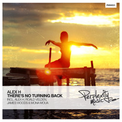 Alex H - There's No Turning Back (Dub Mix)