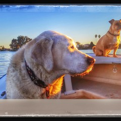 Primal Energy Podcast Part 2