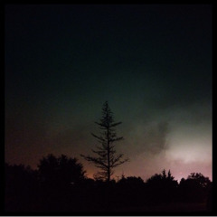 Celadon City - Every Night