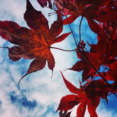Fall2012