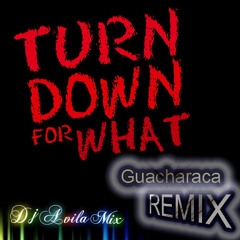 Turn down for what cumbia remix DJ AVILA