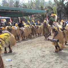 Sajojo Lagu Daerah Papua