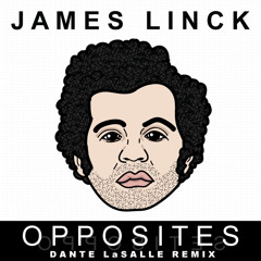 Opposites (Dante LaSalle Remix)