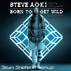 Born To Get Wild (Sean Shefer Mashup)