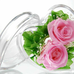 Dilso'z - Sog'inasiz (Begimey 2)