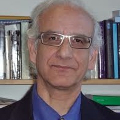 Saiedi - Text And Context - 1