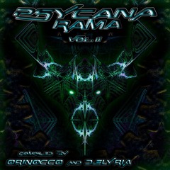 Futurum Sonat - Vivid Vision (Demo - Work  In Progress) SOON OUT ON PSYCANARAMA Vol.2
