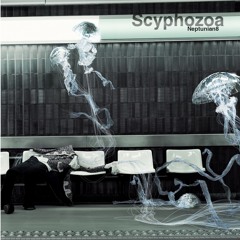 "C2H2-7A" (SCYPHOZOA)