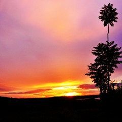 Ocean (Prod By CE-ROOTS)