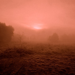 DINEMSIONS Vol. II (Jack+Acid)