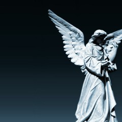 מטרופולין - מלאכים (Meni Abuksis Edit)