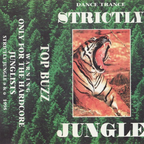 Mikey B (Top Buzz) - Euphoria 'Club Oblivion' - 15th July 1994