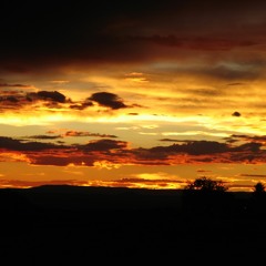 09 The Last Pale Light In The West