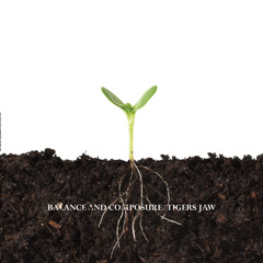 Balance and Composure - Rope