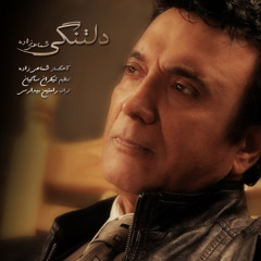 Hassan Shamaizadeh - Deltangi